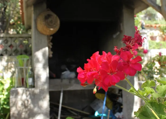 6806b Apartment